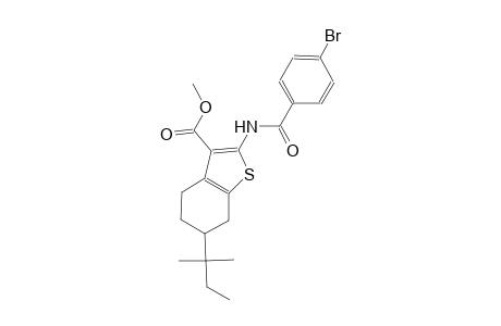 methyl 2-[(4-bromobenzoyl)amino]-6-tert-pentyl-4,5,6,7-tetrahydro-1-benzothiophene-3-carboxylate