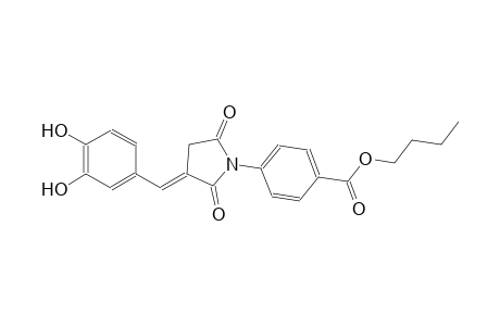 benzoic acid, 4-[(3E)-3-[(3,4-dihydroxyphenyl)methylene]-2,5-dioxopyrrolidinyl]-, butyl ester