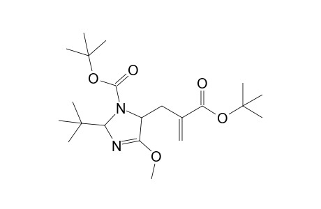 t-Butyl 2-(t-butyl)-4-methoxy-5-[2'-(t-butoxycarbonyl)allyl]-2,5-dihydroimidazole-1-carboxylate
