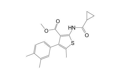 methyl 2-[(cyclopropylcarbonyl)amino]-4-(3,4-dimethylphenyl)-5-methyl-3-thiophenecarboxylate