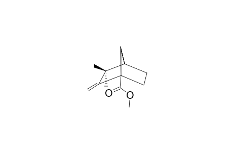 Camphene-1-carboxylic acid, methyl ester