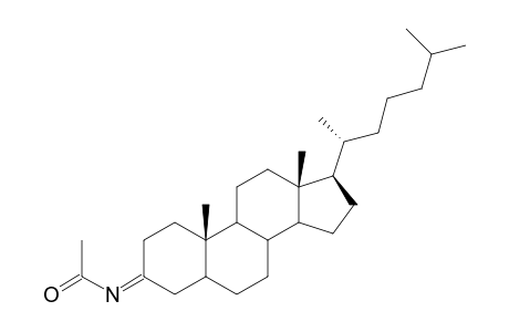 N-CHOLESTAN-3-YLIDENEACETAMIDE