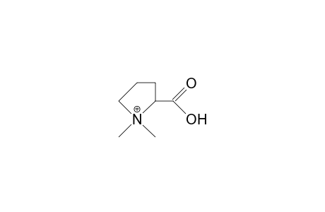 Proline-betaine cation