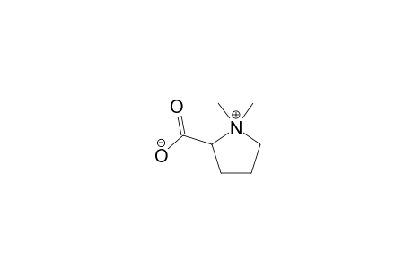 STACHYDRINE