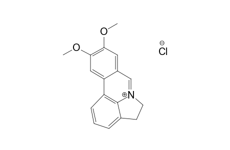 Vasconine