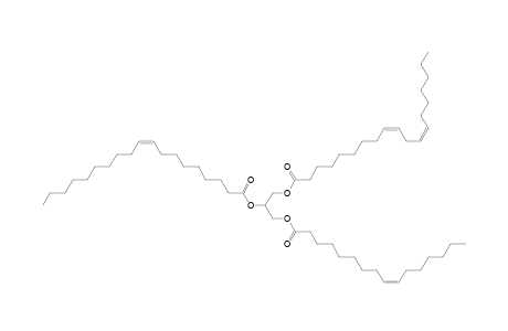 TG 16:1_19:1_19:2