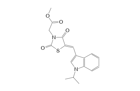 methyl {(5Z)-5-[(1-isopropyl-1H-indol-3-yl)methylene]-2,4-dioxo-1,3-thiazolidin-3-yl}acetate