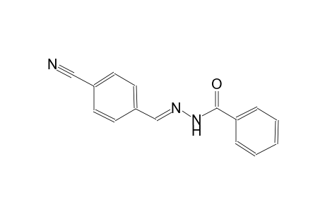 N'-[(E)-(4-Cyanophenyl)methylidene]benzohydrazide