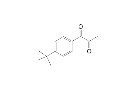 1-(4-tert-Butylphenyl)propane-1,2-dione