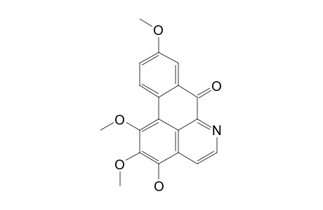 9-METHOXYISOMOSCHATOLINE