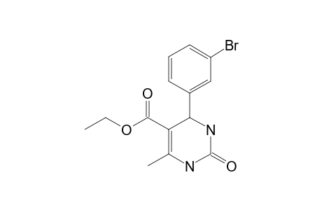 4-(m-bromophenyl)-6-methyl-2-oxo-1,2,3,4-tetrahydro-5-pyrimidinecarboxylic acid, ethyl ester