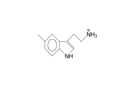 5-Methyl-tryptammonium cation