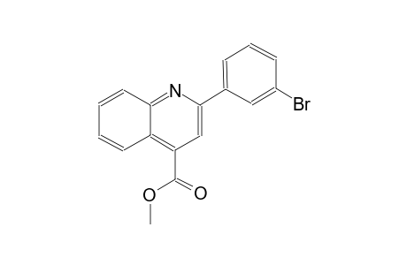 4-quinolinecarboxylic acid, 2-(3-bromophenyl)-, methyl ester