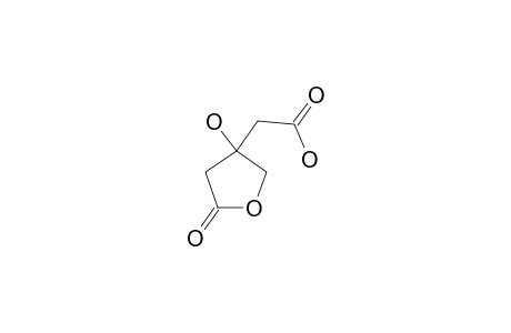2-(3-HYDROXY-5-OXOTETRAHYDROFURAN-3-YL)-ACETIC-ACID