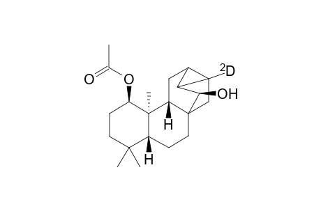 ent-1.beta.-acetoxy-14R-hydroxy-16-deuterio-17-norchylobane