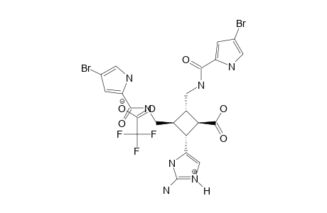 NAKAMURIC_ACID