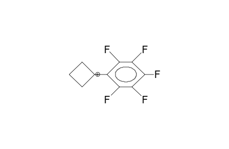 1-(Pentafluoro-phenyl)-1-cyclobutyl cation