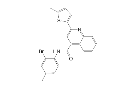 N-(2-bromo-4-methylphenyl)-2-(5-methyl-2-thienyl)-4-quinolinecarboxamide