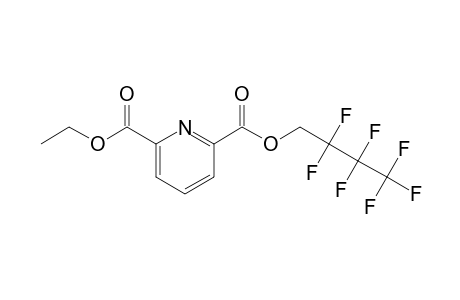 2,6-Pyridinedicarboxylic acid, 2,2,3,3,4,4,4-heptafluorobutyl ethyl ester