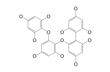 FUCODIPHLORETHOL-G