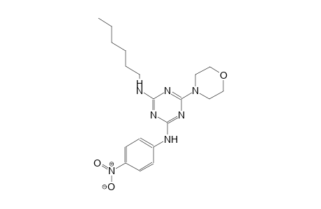 1,3,5-triazine-2,4-diamine, N~2~-hexyl-6-(4-morpholinyl)-N~4~-(4-nitrophenyl)-