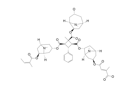 GRAHAMINE_E;1-{[(3-ALPHA-MESACONYLOXYTROPO-6-BETA-YL)-OXY]-CARBONYL}-2-{[(3-ALPHA-HYDROXYTROPO-6-BETA-YL)-OXY]-CARBONYL}-2-METHYL-3-{[((6-BETA-ANGE