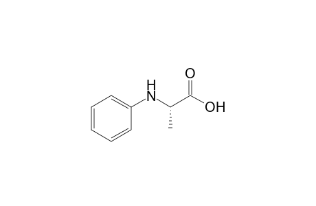 2-(N-Phenylamino)propanoic Acid