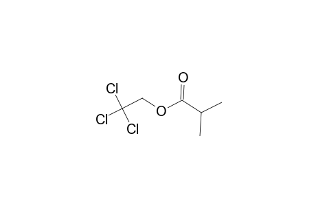 2,2,2-Trichloroethyl 2-methylpropanoate