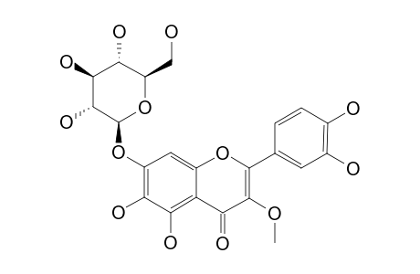 QUERCETAGENIN-3-METHYLETHER-7-O-BETA-D-GLUCOPYRANOSIDE