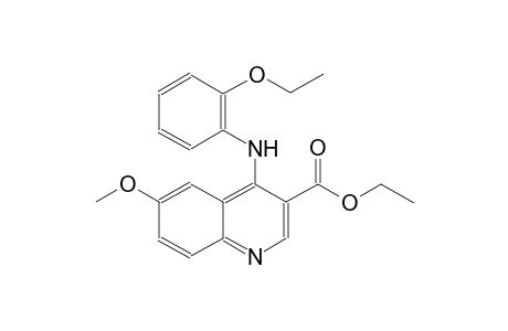 3-quinolinecarboxylic acid, 4-[(2-ethoxyphenyl)amino]-6-methoxy-,ethyl ester