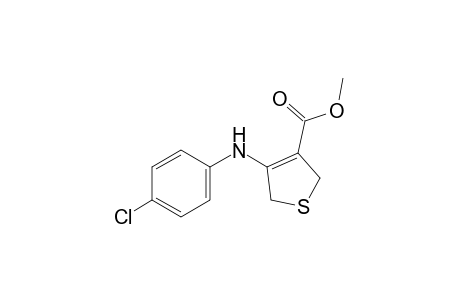 4-(p-chloroanilino)-2,5-dihydro-3-thiophenecarboxylic acid, methyl ester