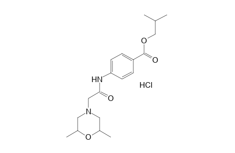 p-[2-(2,6-DIMETHYLMORPHOLINO)ACETAMIDO]BENZOIC ACID, ISOBUTYL ESTER, HYDROCHLORIDE