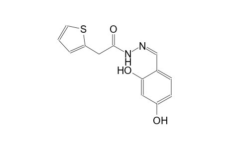 2-thiopheneacetic acid, 2-[(Z)-(2,4-dihydroxyphenyl)methylidene]hydrazide