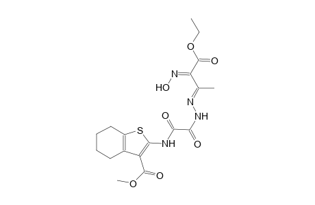 methyl 2-{[{(2E)-2-[(2E)-3-ethoxy-2-(hydroxyimino)-1-methyl-3-oxopropylidene]hydrazino}(oxo)acetyl]amino}-4,5,6,7-tetrahydro-1-benzothiophene-3-carboxylate