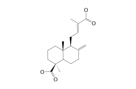 15-NOR-LABDA-8(17),12E-DIEN-13,19-DIENOIC-ACID