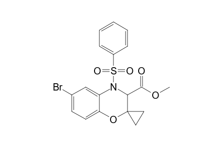 4-(benzenesulfonyl)-6-bromo-3-spiro[3H-1,4-benzoxazine-2,1'-cyclopropane]carboxylic acid methyl ester