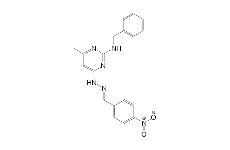 4-nitrobenzaldehyde [2-(benzylamino)-6-methyl-4-pyrimidinyl]hydrazone