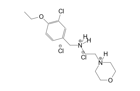 morpholinium, 4-[2-[[(3-chloro-4-ethoxyphenyl)methyl]ammonio]ethyl]-, dichloride