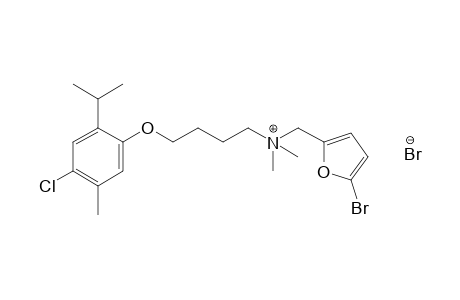 (5-bromofurfuryl)dimethyl{4-[(6-chlorothymyl)oxy]butyl}ammonium bromide