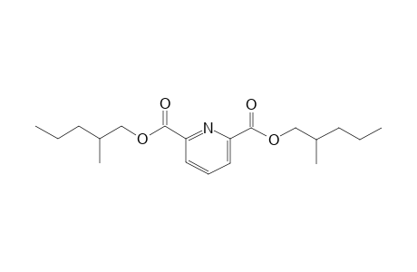 2,6-Pyridinedicarboxylic acid, di(2-methylpentyl) ester