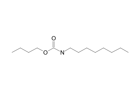 Carbonic acid, monoamide, N-octyl-, butyl ester