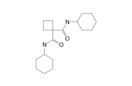 N,N'-DICYCLOHEXYL-1,1-CYCLOBUTANEDICARBOXAMIDE
