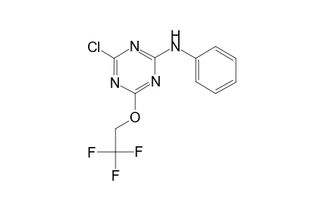 1,3,5-Triazin-2-amine, 4-chloro-6-(2,2,2-trifluoroethoxy)-N-phenyl-