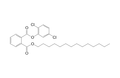 Phthalic acid, 2,5-dichlorophenyl tetradecyl ester