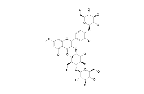 NERVILIFORDIN_E;4'-O-BETA-D-GLUCOPYRANOSYLRHAMNETIN-3-O-BETA-D-GLUCOPYRANOSYL-(4->1)-BETA-D-GLUCOPYRANOSIDE