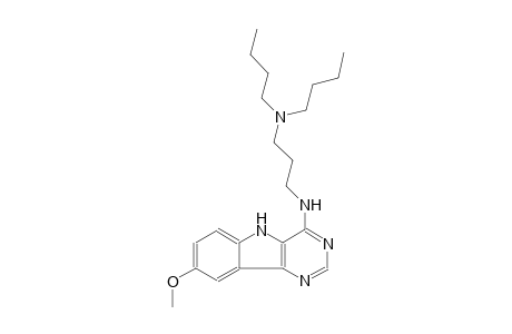 N~1~,N~1~-dibutyl-N~3~-(8-methoxy-5H-pyrimido[5,4-b]indol-4-yl)-1,3-propanediamine