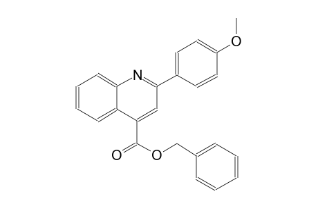 benzyl 2-(4-methoxyphenyl)-4-quinolinecarboxylate