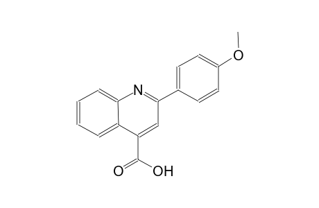 2-(4-methoxyphenyl)-4-quinolinecarboxylic acid