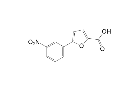 5-(m-nitrophenyl) -2-furoic acid