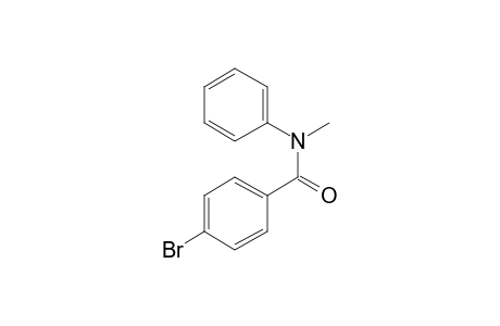 Benzamide, 4-bromo-N-methyl-N-phenyl-